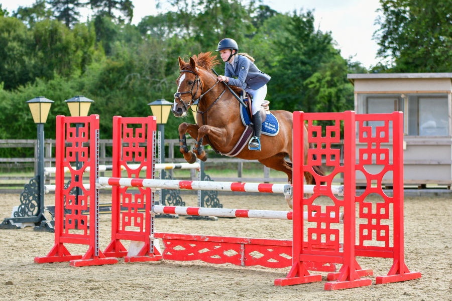 Equestrian Photography Services Sussex | LRG Photography